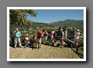 [Click to enlarge image]