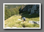 [Click to enlarge image]