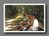 [Click to enlarge image]