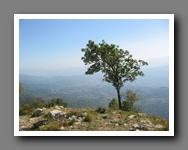 [Click to enlarge image]