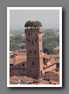 [Click to enlarge image]