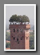 [Click to enlarge image]